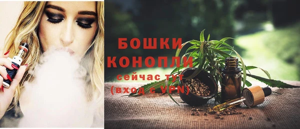 Альфа ПВП Новозыбков