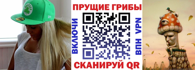 ОМГ ОМГ как зайти  Ликино-Дулёво  Галлюциногенные грибы Magic Shrooms 